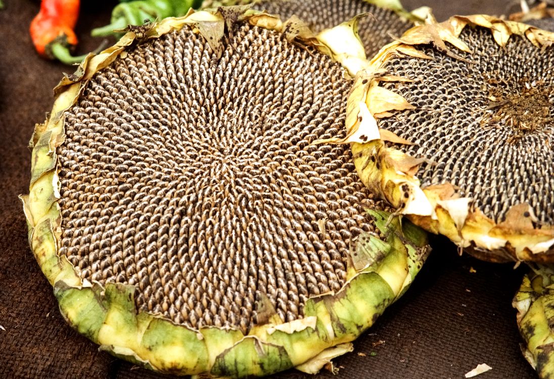 Vitamín E